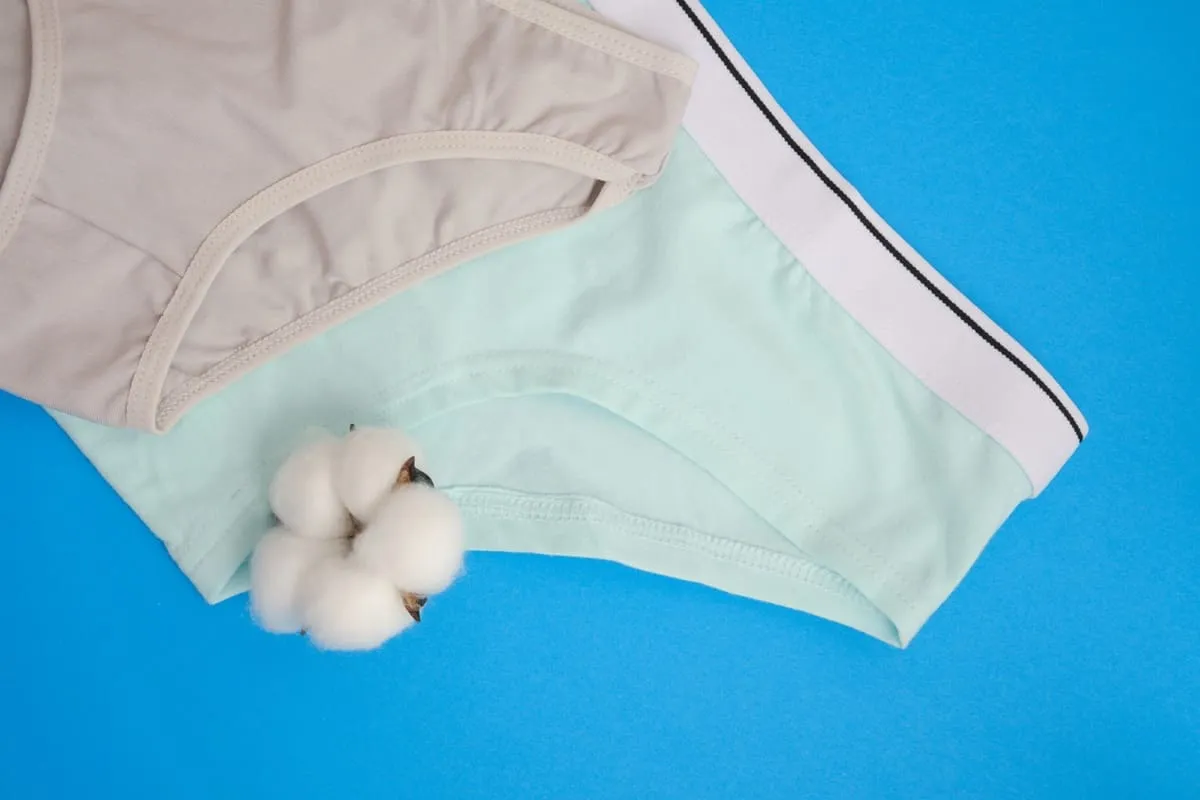Des culottes menstruelles en coton bio